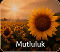 Mutluluk duygusu için artwork